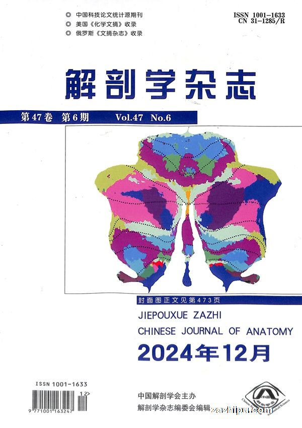 解剖学杂志(1年共6期)