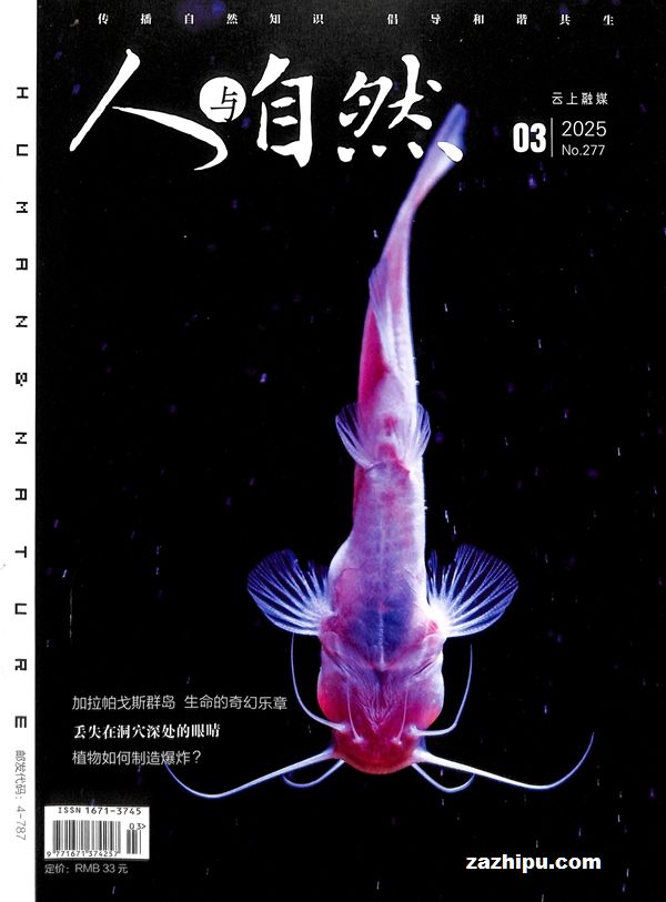 人与自然(1年共12期）（杂志订阅)