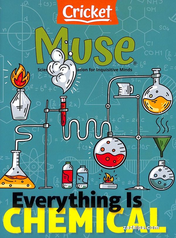 Muse˹һ깲6ڣӢԭ棩