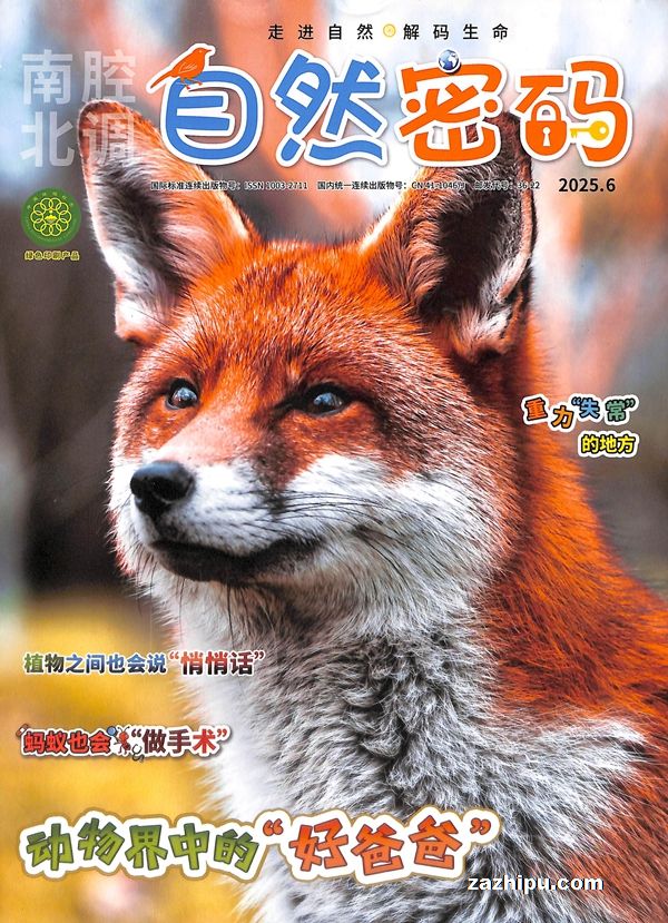 Ȼ루1깲12ڣ־ģ