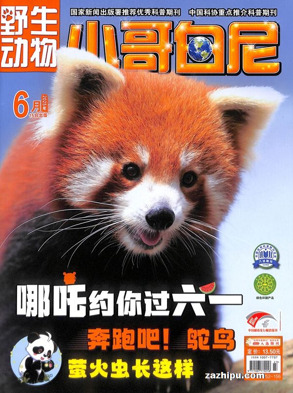СҰﻭ(1깲12)־ģ