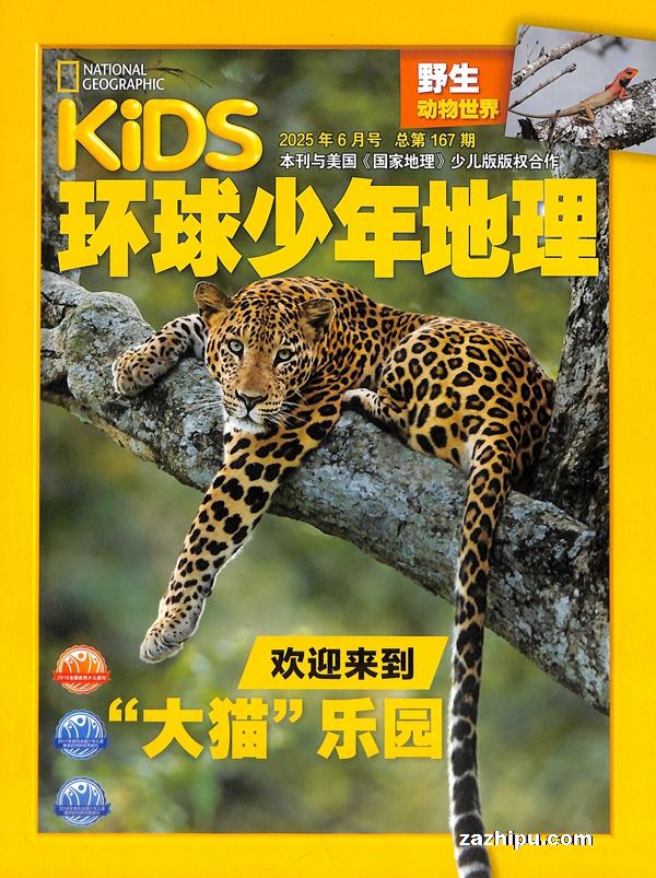 KiDSҵٶȨ1깲12ڣ־ģ