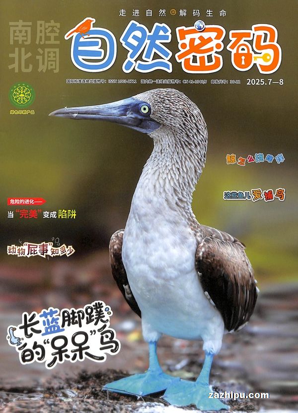 Ȼ루1깲12ڣ־ģ