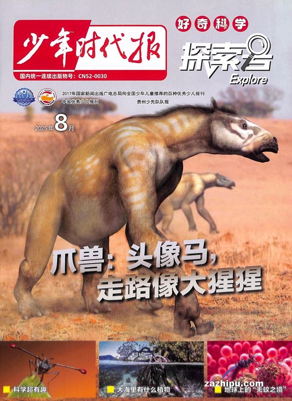 ʱѧ̽ţ1깲10ڣ־