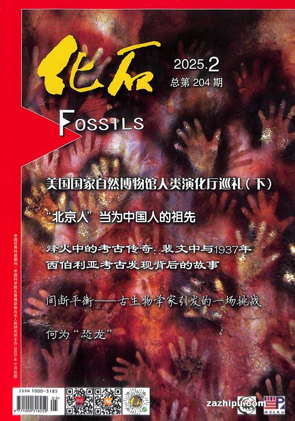 ʯйѧԺ1깲4ڣ