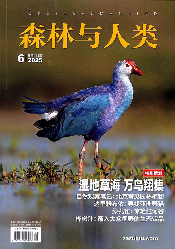 ɭࣨ1깲12ڣ