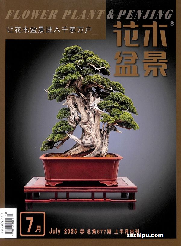 ľ辰辰ʯ棩1깲12ڣ