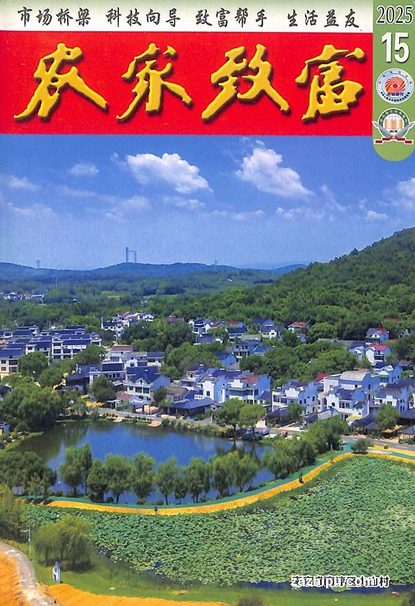 ũ¸1깲24ڣ