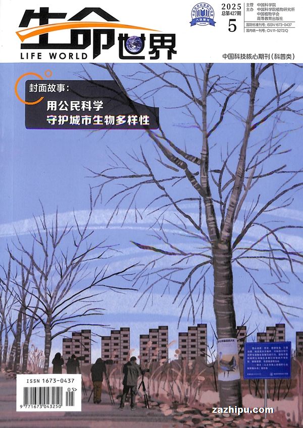 磨1깲12ڣ