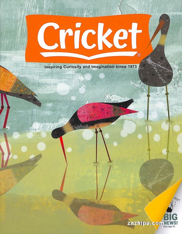 Cricketһ깲6ڣӢԭ棩