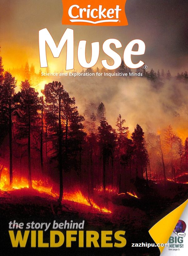 Muse˹һ깲6ڣӢԭ棩