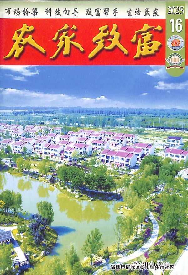 ũ¸1깲24ڣ
