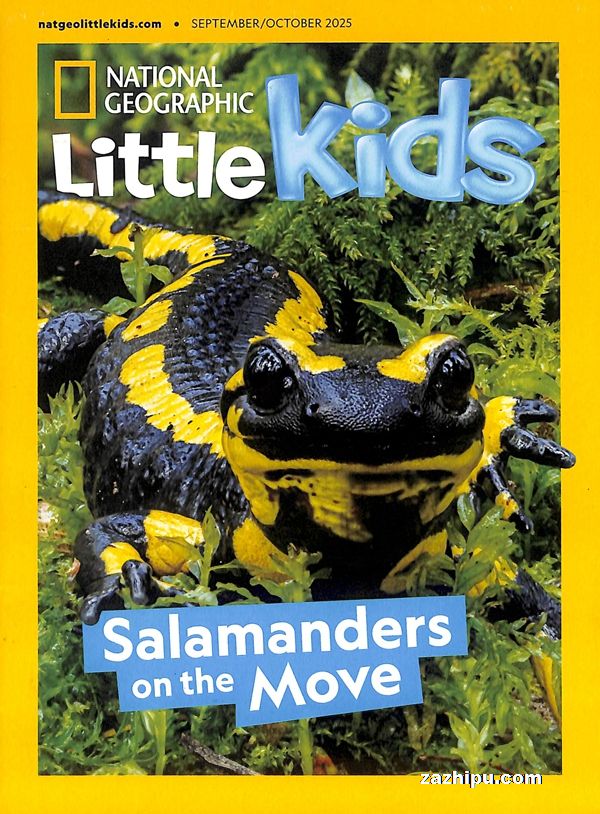 ҵ׶3-6꣨Ӣԭ棩National Geographic  Little Kids1깲6ڣ־ģ