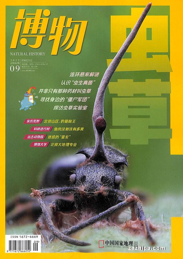 1깲12ڣ־ģ