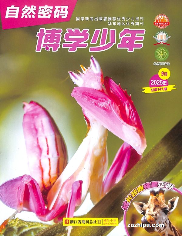ѧȻ루1깲12ڣ־ģ
