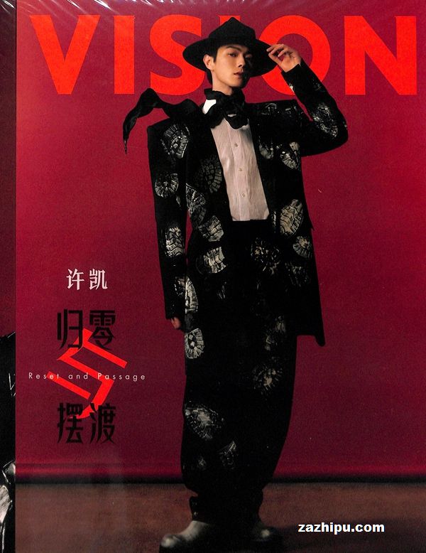 �����Ӿ�vision
