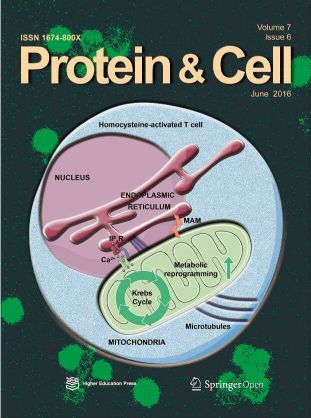 proteincell蛋白质与细胞英文版杂志