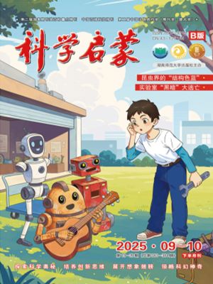 科学启蒙B版(1年共12期)(杂志订阅)