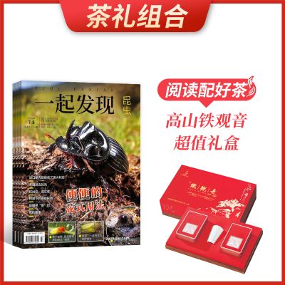 ϡһ棨1깲12ڣ+ɽֵ