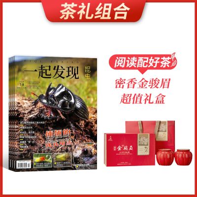 ϡһ棨1깲12ڣ+üֵ