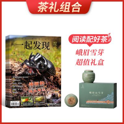 ϡһ棨1깲12ڣ+üѩѿֵ