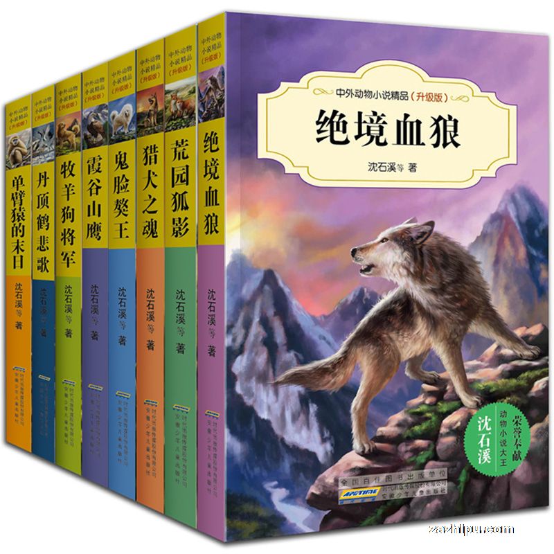 現貨圖書沈石溪動物小說全集(升級版第二輯雜誌訂閱