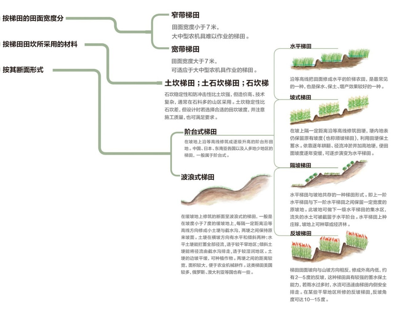 顺坡垄和梯田的区别图片